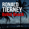 Bullet Beach: Deets Shanahan, Book 10