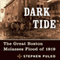 Dark Tide: The Great Boston Molasses Flood of 1919
