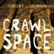 Crawlspace