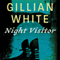 Night Visitor: A Novel
