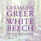 White Beech: The Rainforest Years