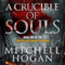 A Crucible of Souls: The Sorcery Ascendant Sequence, Book 1