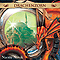 Drachenzorn (Die Feuerreiter Seiner Majestt 3)
