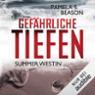 Gefhrliche Tiefen (Summer Westin 3)