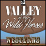 The Valley of Wild Horses