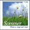 Sommer. Wenn es singt und zirpt
