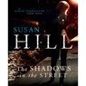 The Shadows in the Street