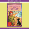 The Stray