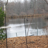 Cornell Ornithology Lab, Ithaca, New York, Part II: Audio Journeys Goes Behind the Scenes