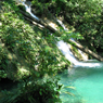 Caribbean Rainforest with FUNDAECO: Audio Journeys