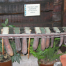 The Mayan World Music Museum, La Antigua, Guatemala: Audio Journeys