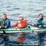In the Path of Giants: A California Gray Whale Research Project
