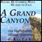 A Grand Canyon: One Mans Journey Through Depression