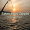 Taken Away Zapped