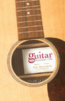 Guitar: An American Life