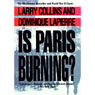 Is Paris Burning?