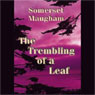 The Trembling of a Leaf