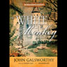 The White Monkey: The Forsyte Chronicles, Book 4
