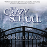 The Crazy School