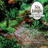 The Sea and the Jungle