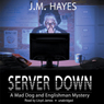 Server Down: A Mad Dog and Englishman Mystery