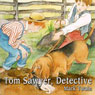 Tom Sawyer, Detective