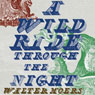A Wild Ride Through the Night