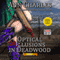 Optical Delusions in Deadwood: Deadwood Mystery, Book 2
