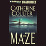 The Maze: FBI Thriller #2