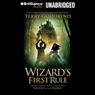 Wizard's First Rule: Sword of Truth, Book 1