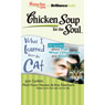 Chicken Soup for the Soul: What I Learned from the Cat - 30 Stories about Play, What's Important, and Belief