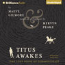 Titus Awakes: Gormenghast, Volume 4 (The Lost Book of Gormenghast)