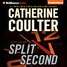 Split Second: An FBI Thriller