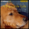 A Big Little Life: A Memoir of a Joyful Dog Named Trixie