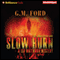 Slow Burn: A Leo Waterman Mystery, Book 4