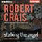 Stalking the Angel: Elvis Cole - Joe Pike, Book 2