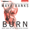 Burn: Breathless, Book 3