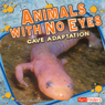 Animals with No Eyes: Cave Adaptation