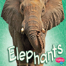 Elephants