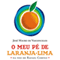 O Meu P de Laranja-lima [My Orange-Lime Foot]