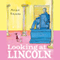 Looking at Lincoln