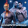 Shadowlands