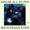 Der schwarze Kater