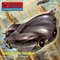Schiff aus der Ewigkeit (Perry Rhodan Nr. 2454)