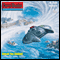 Insel im Nebel (Perry Rhodan 2509)