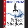 Perfect Shadow: A Night Angel Novella