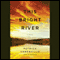 This Bright River: A Novel
