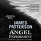 The Angel Experiment: A Maximum Ride Novel