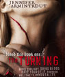 Blood Ties Book One: The Turning