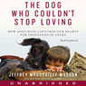 Dog Who Couldn't Stop Loving: How Dogs Have Captured Our Hearts for Thousands of Years